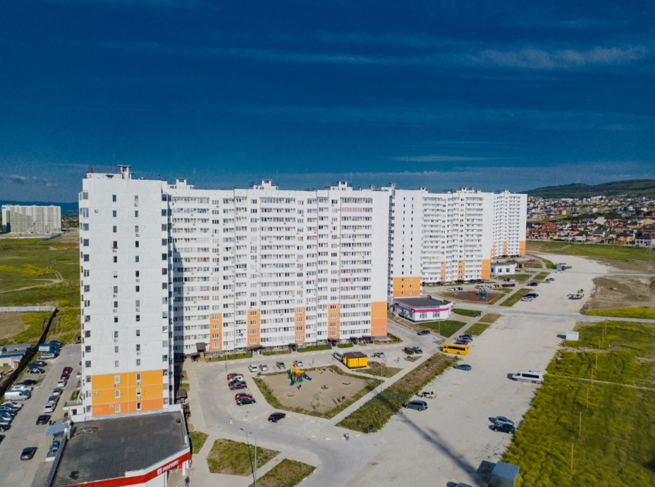 Горгиппия Морская